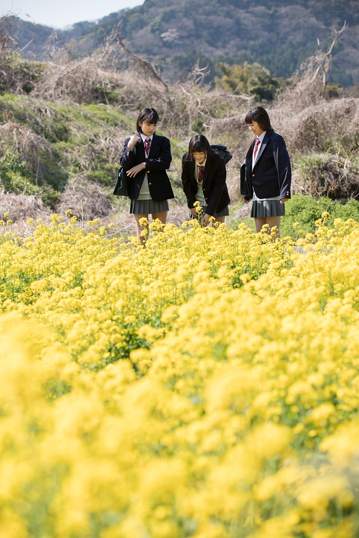 [Minisuka.tv] 新手美女 2017-04-13 NewComer 2017 - Special Gallery 01